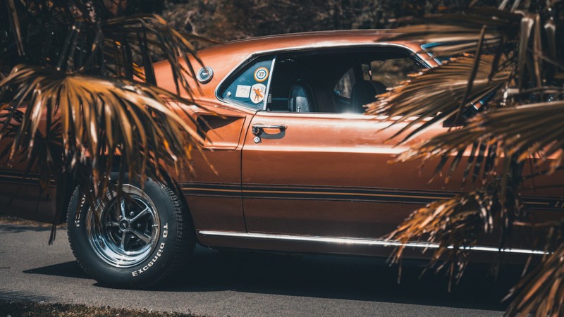 ford, mustang, cars, vintage