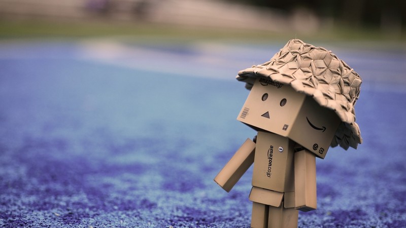 danbo, cute