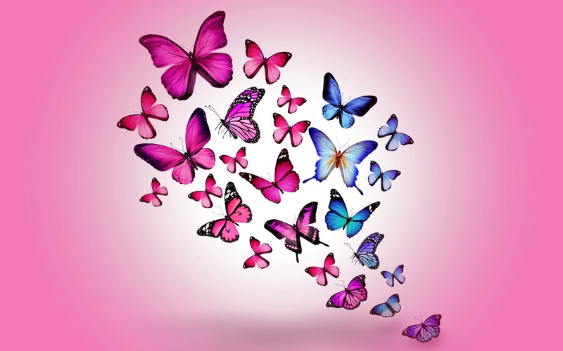 butterfly, artist, digital art