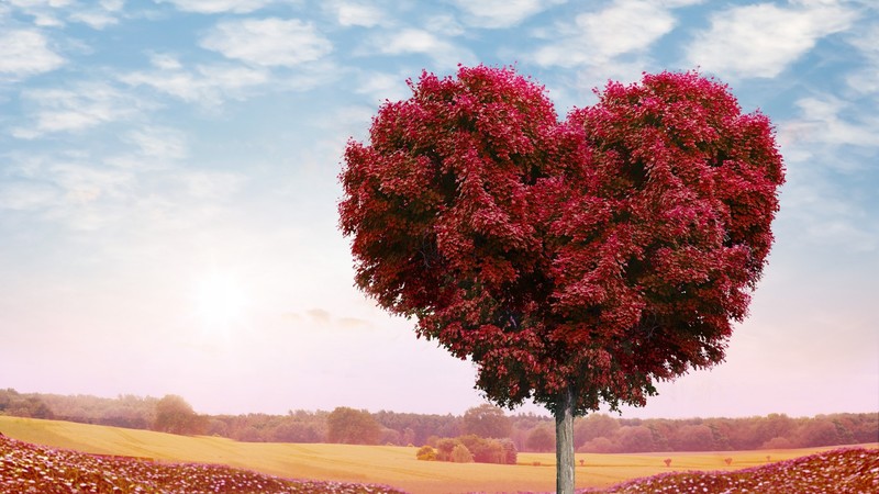 tree, heart, love