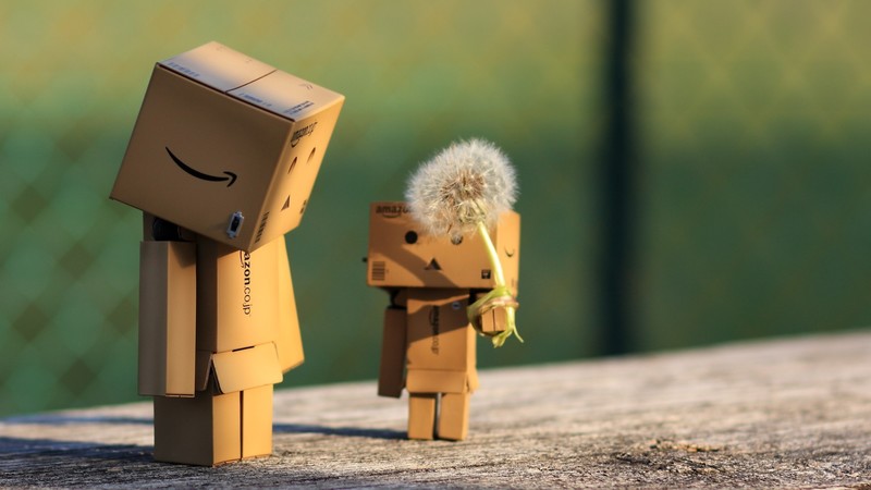 danbo, cute