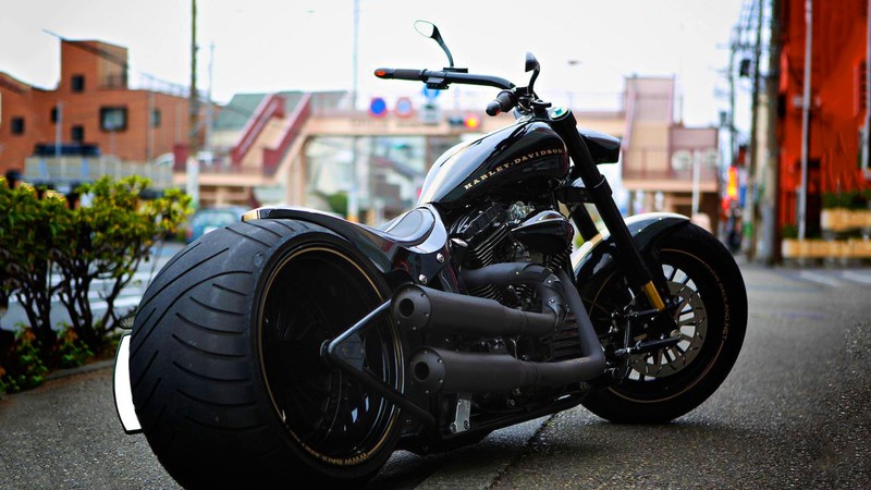harley davidson, bikes