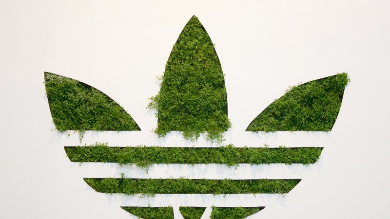 adidas, logo, grass