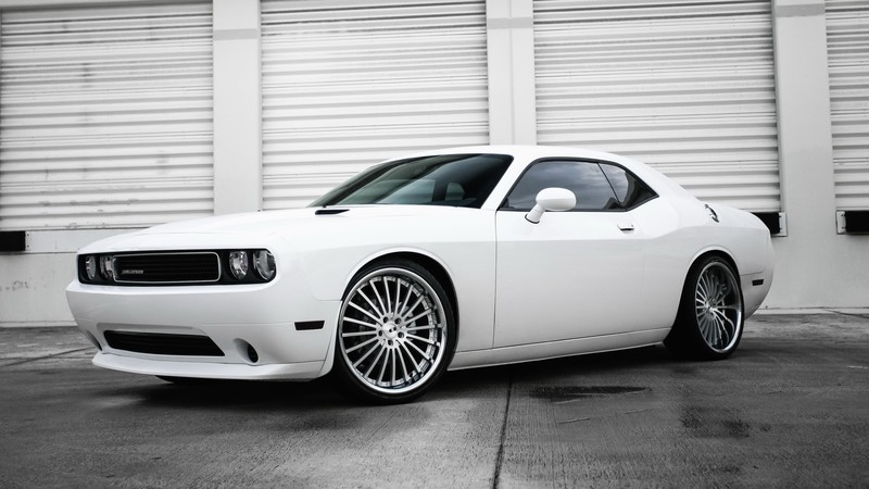 dodge challenger, cars, white