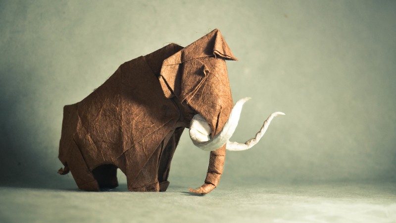 art, elephant, animals, creative, artist