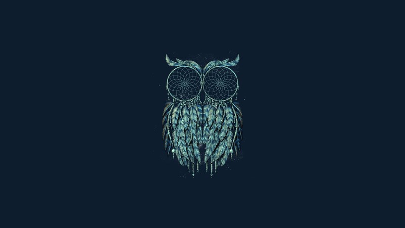 owl, art, artist, digital art