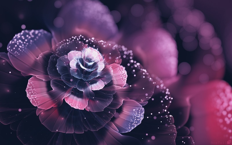 abstract, flowers, artist, art