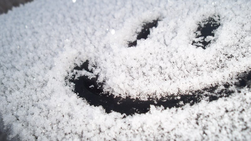 smile, artist, happy