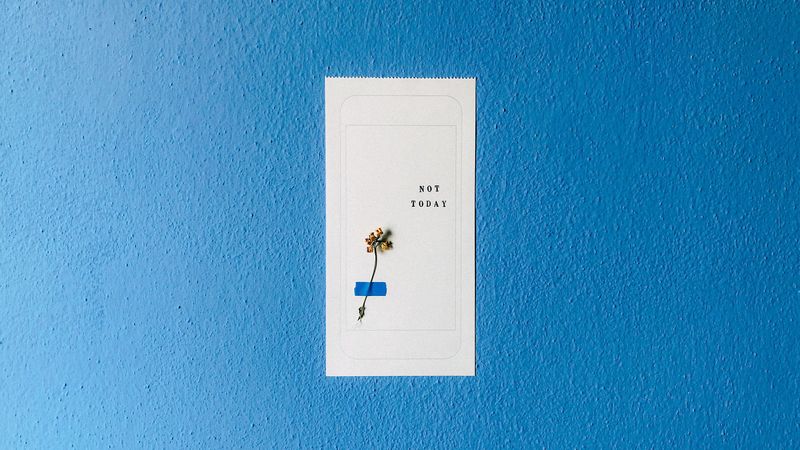inscription, phrase, words, flower, wall, texture, 4k