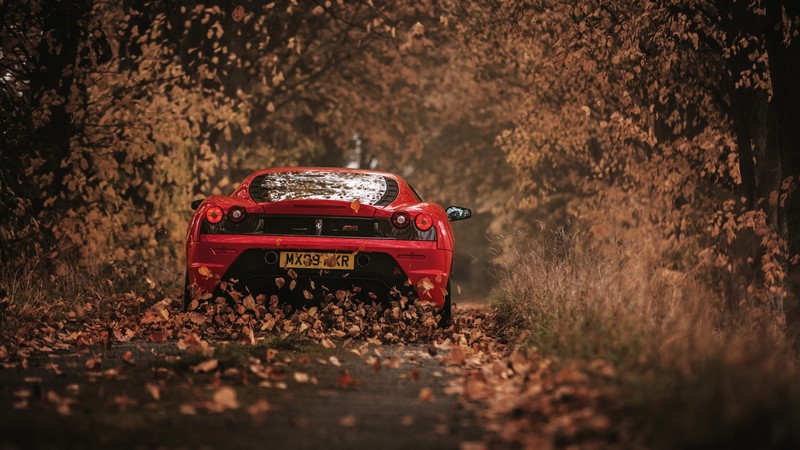 ferrari, cars