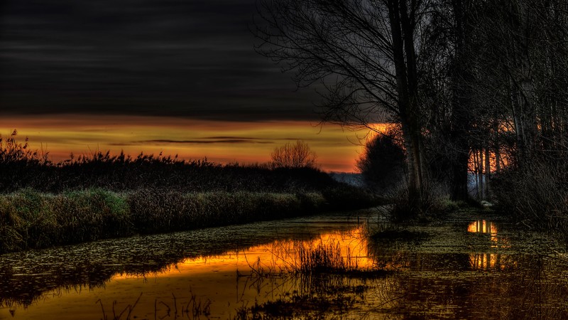 lake, night, nature