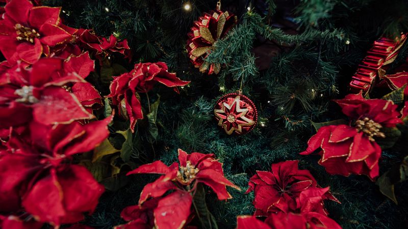 new year, christmas, tree, decoration, holiday, 4k