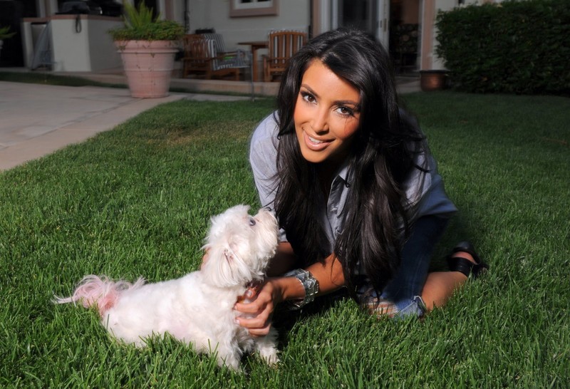 kim kardashian, celebrities
