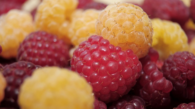 raspberry, fruits
