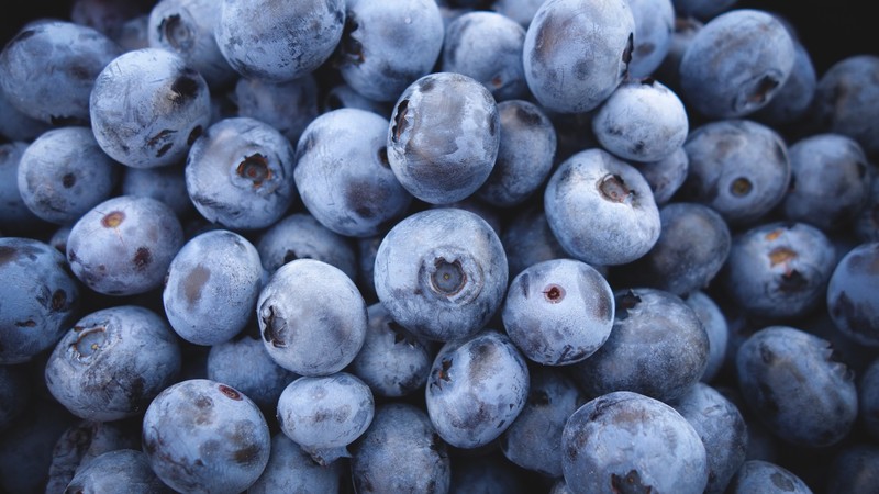 blueberry, fruits