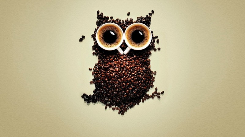 coffee, beans, owl, artist, digital art