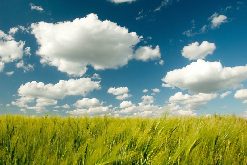 clouds, nature, photography