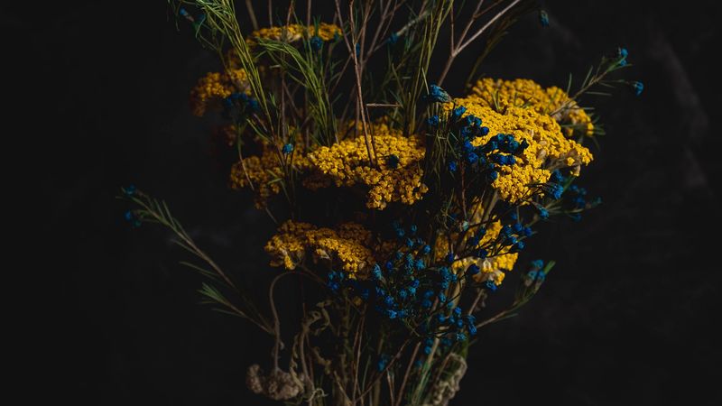 bouquet, flowers, composition, vase, 4k