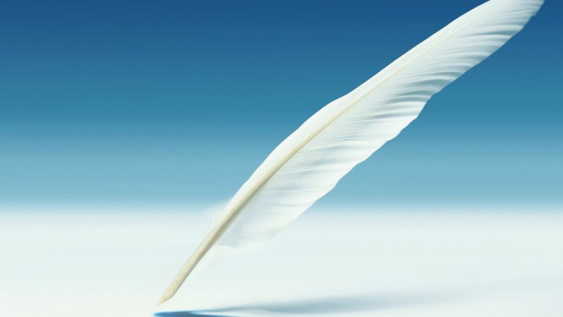 feather, pen, artist