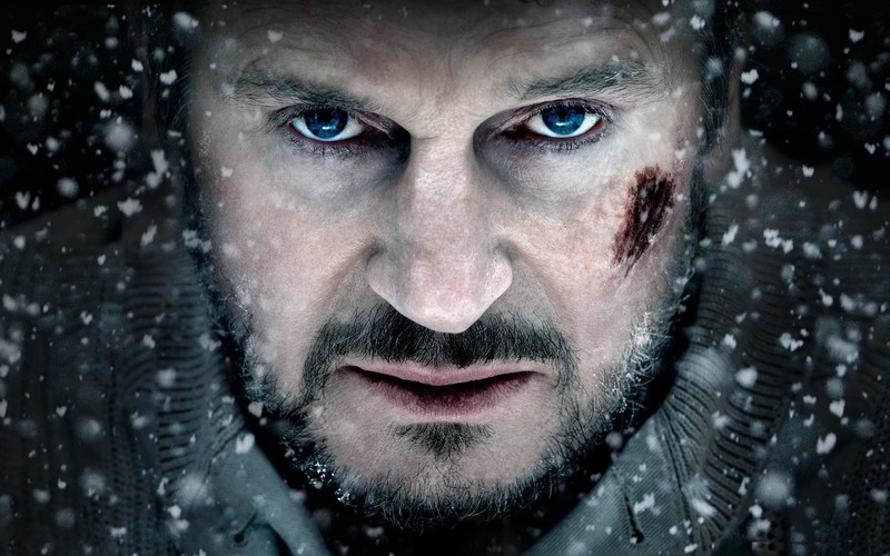 the grey, movies