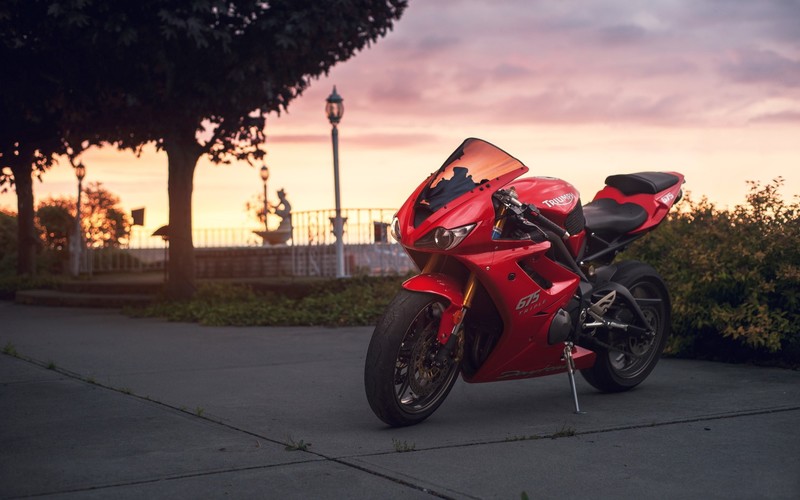 triump, daytona, bikes, red, racing