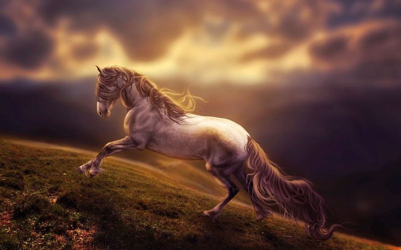 horse, artist, digital art