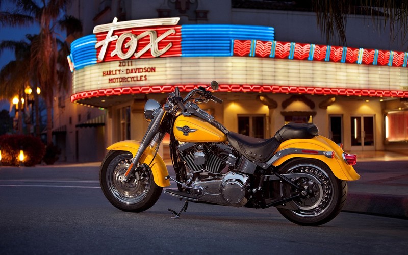 harley davidson, bikes