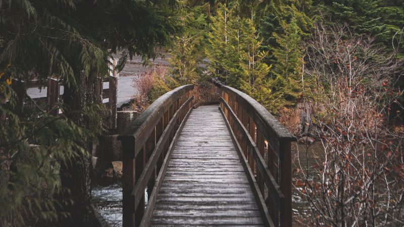 bridge, wooden, river, trees, nature, 4k