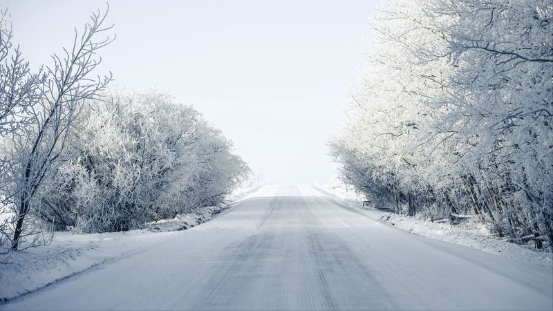 road, trees, snow, winter, snowy, 4k