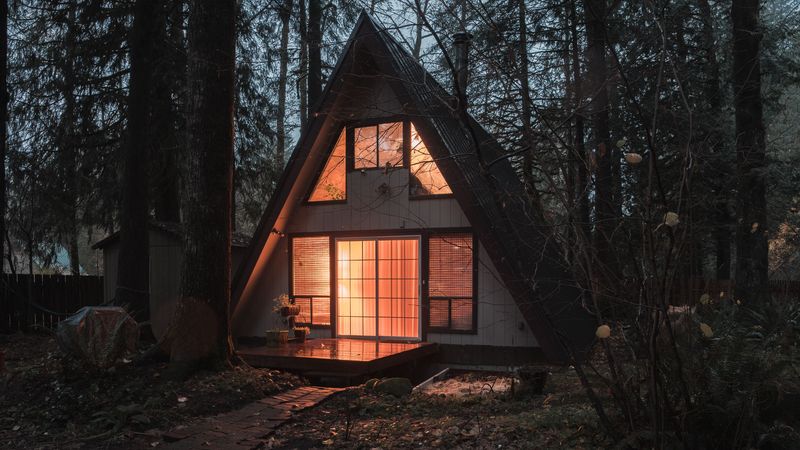 house, forest, trees, comfort, nature, 4k