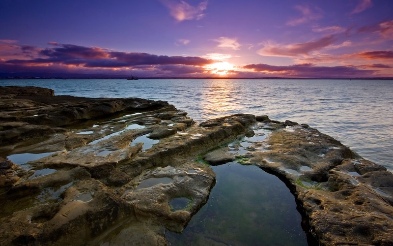 sunset, nature, auckland, photography