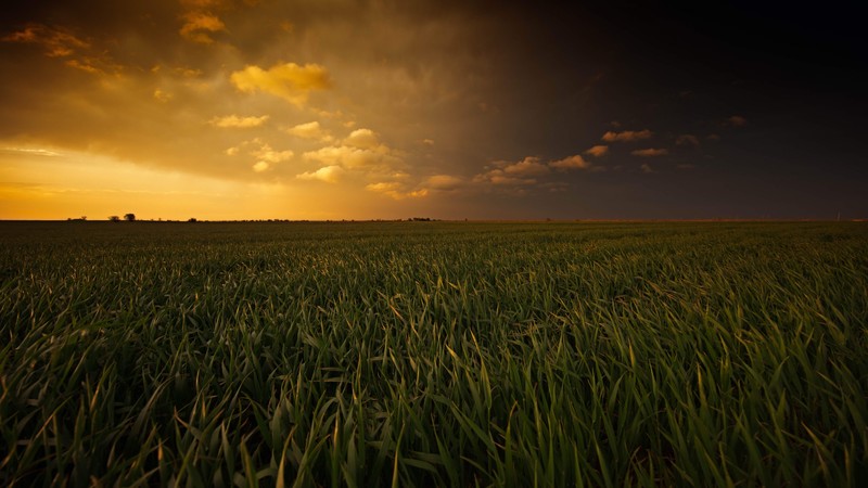 sunset, nature, photography
