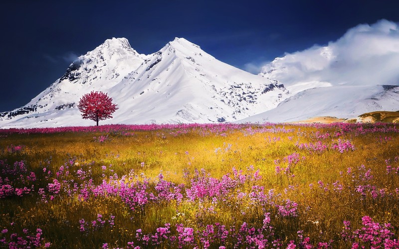 autumn, fields, mountains, nature, flowers