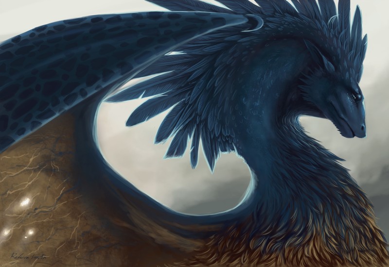 dragon, fantasy, artist, digital art
