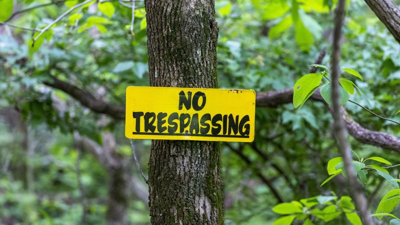 warning, words, inscription, nameplate, tree, 4k