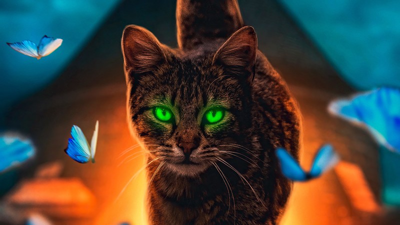 cat, animals, hd, 4k, artist, artwork, digital art