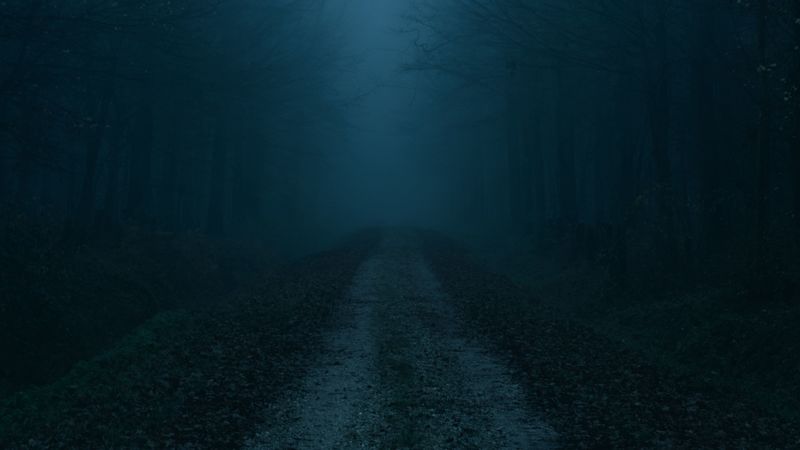 fog, road, forest, trees, autumn, 4k
