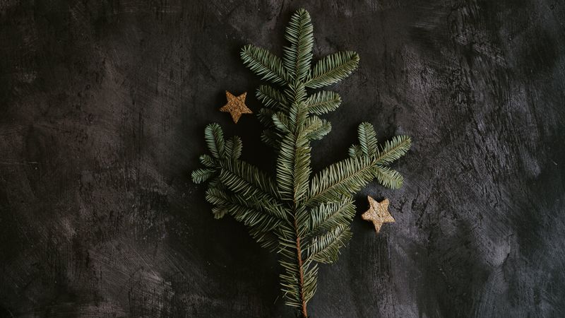 tree, branch, stars, decoration, new year, 4k
