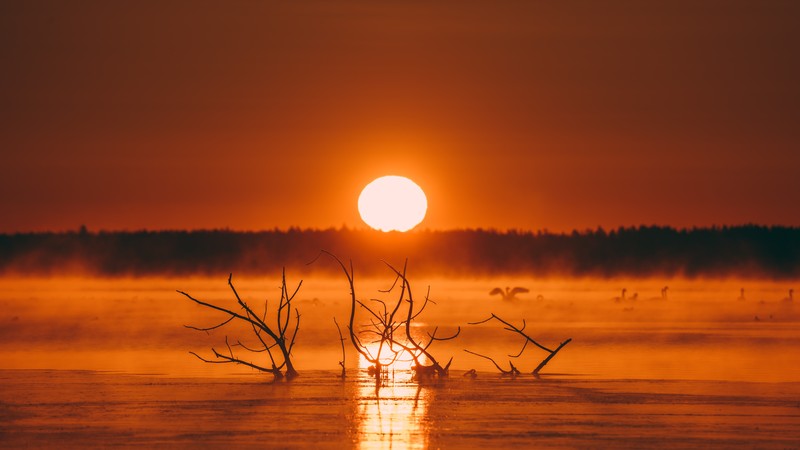 sunset, evening, nature, hd, 4k, 5k
