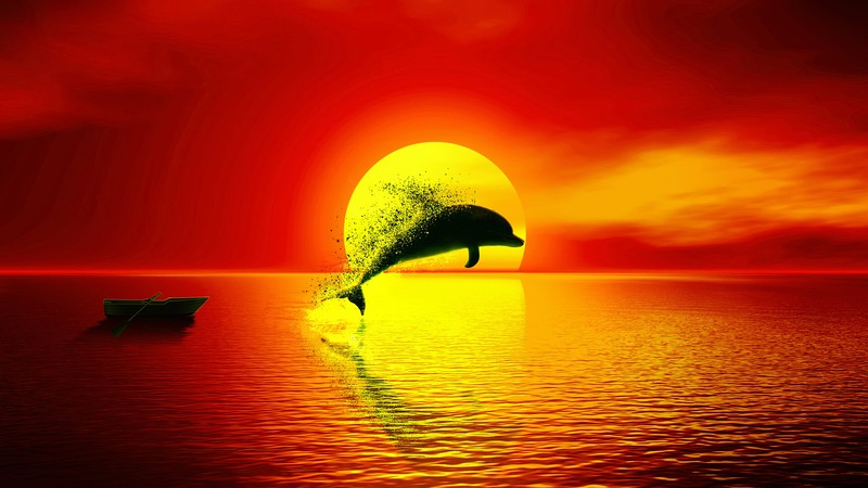 dolphin, artist, artwork, digital art, hd, 4k, sunset, artstation