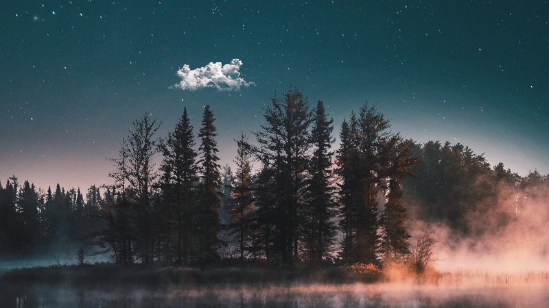 lake, nature, hd, trees, photography, behance