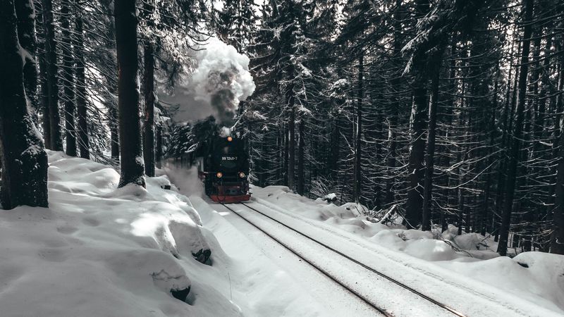 locomotive, train, forest, snow, winter, 4k
