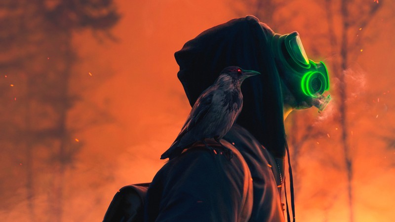 mask, raven, artist, artwork, digital art, hd, anonymus, 4k