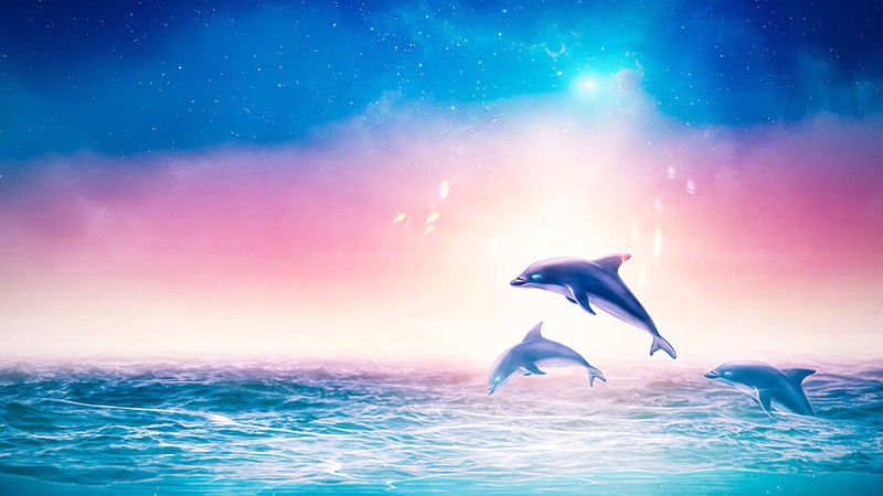 dolphin, artist, artwork, digital art, hd, 4k, artstation