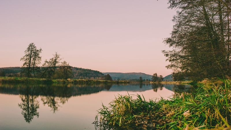 river, shore, water, trees, grass, 4k