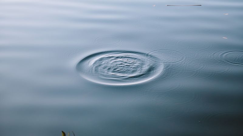 lake, water, waves, circles, surface, 4k