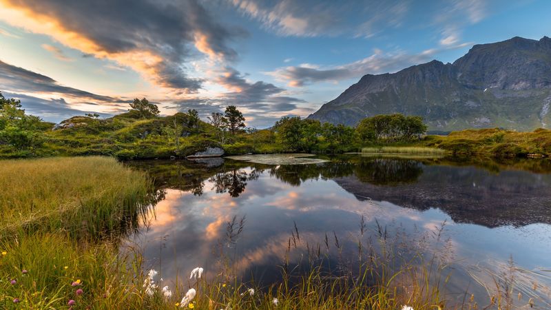 lake, shore, mountains, grass, landscape, 4k