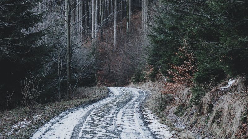 forest, road, snow, winter, nature, 4k