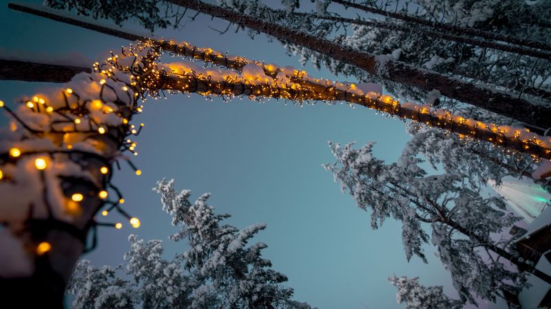 garlands, snow, trees, decoration, winter, 4k