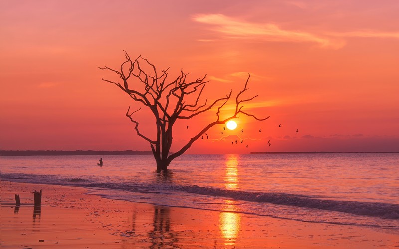 ocean, sunset, birds, hd, nature